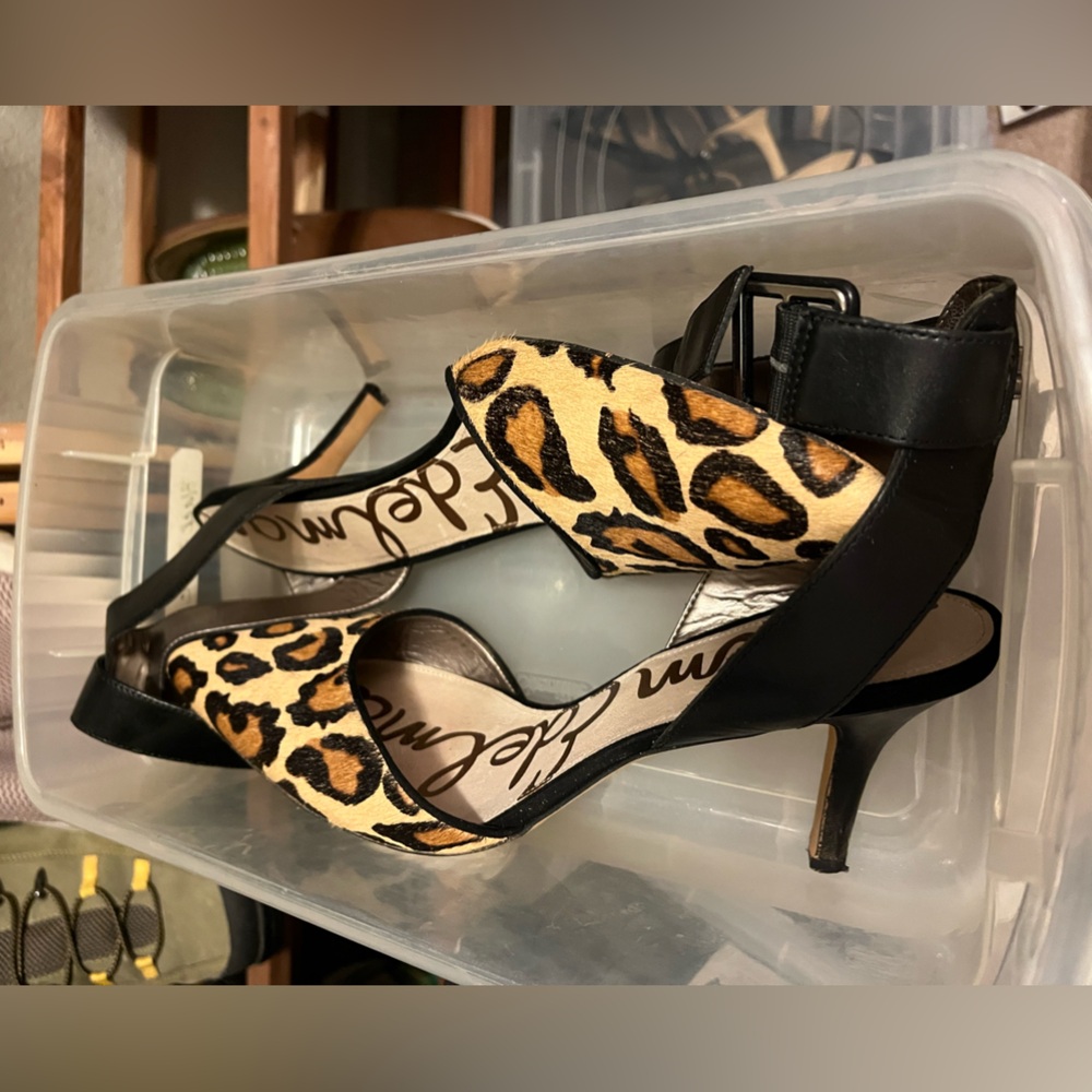 Sam Edelman 11m LEATHER pointed toe shoe ankle strap leopard NWOT